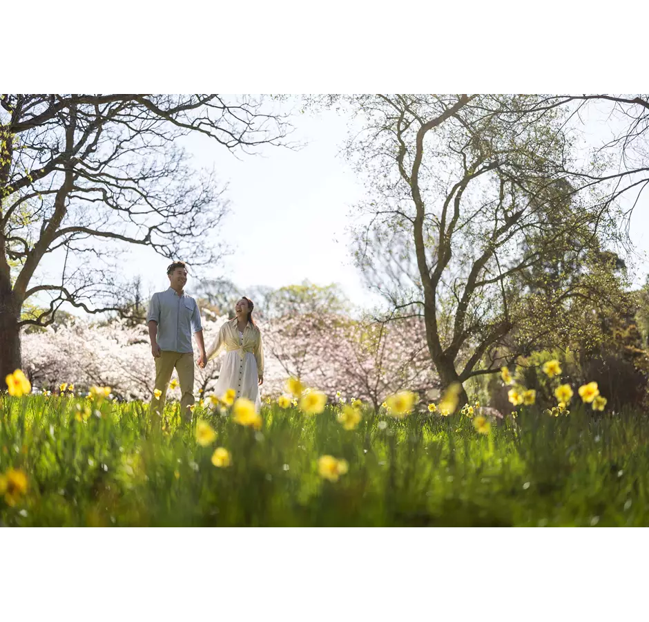 Couple Walking Through Daffodils