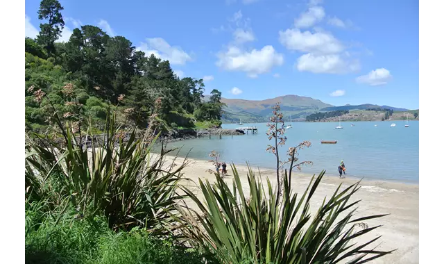 Lyttelton Corsair Bay Beach