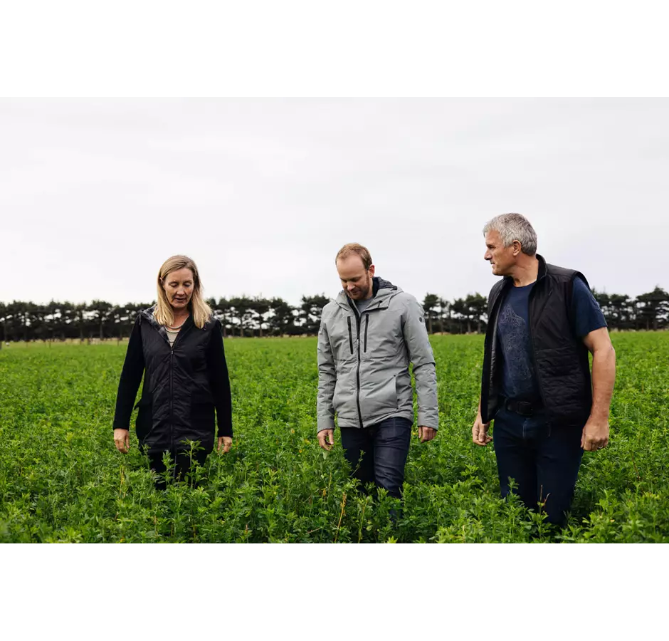 Leaft Foods Co Founders & CEO: L To R - Maury Leyland Penno, Ross Milne & John Penno