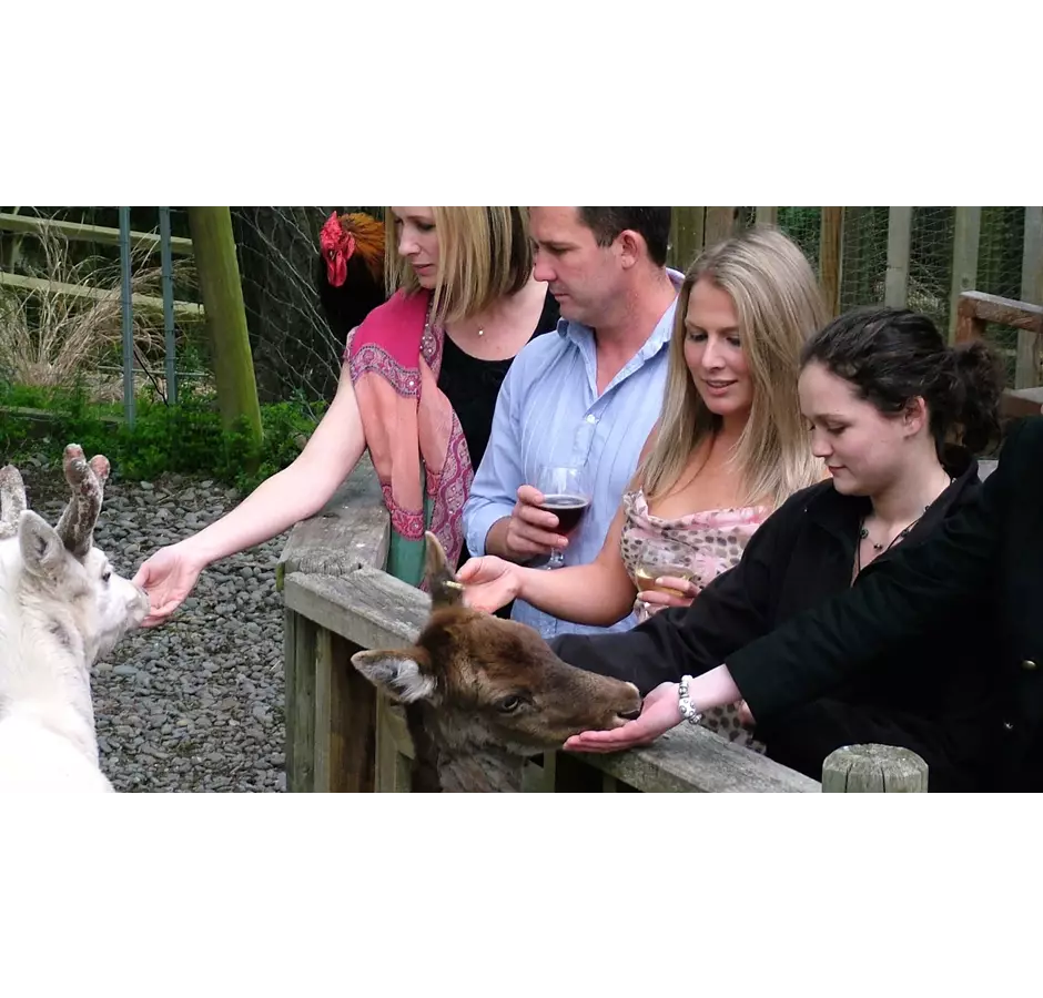 Willowbank Deer Feeding Restaurant Deck