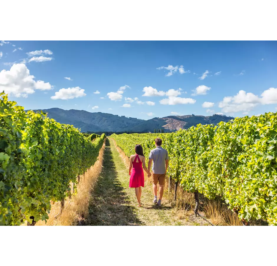 Hurunui Waipara Vineyard Couple Walking