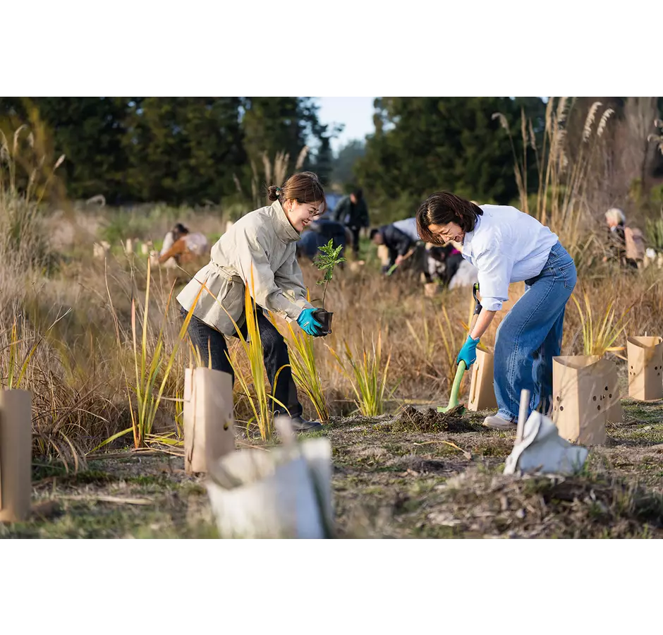 Tūhaitara Coastal Park Tree Planting, Two Ladies Planting Trees