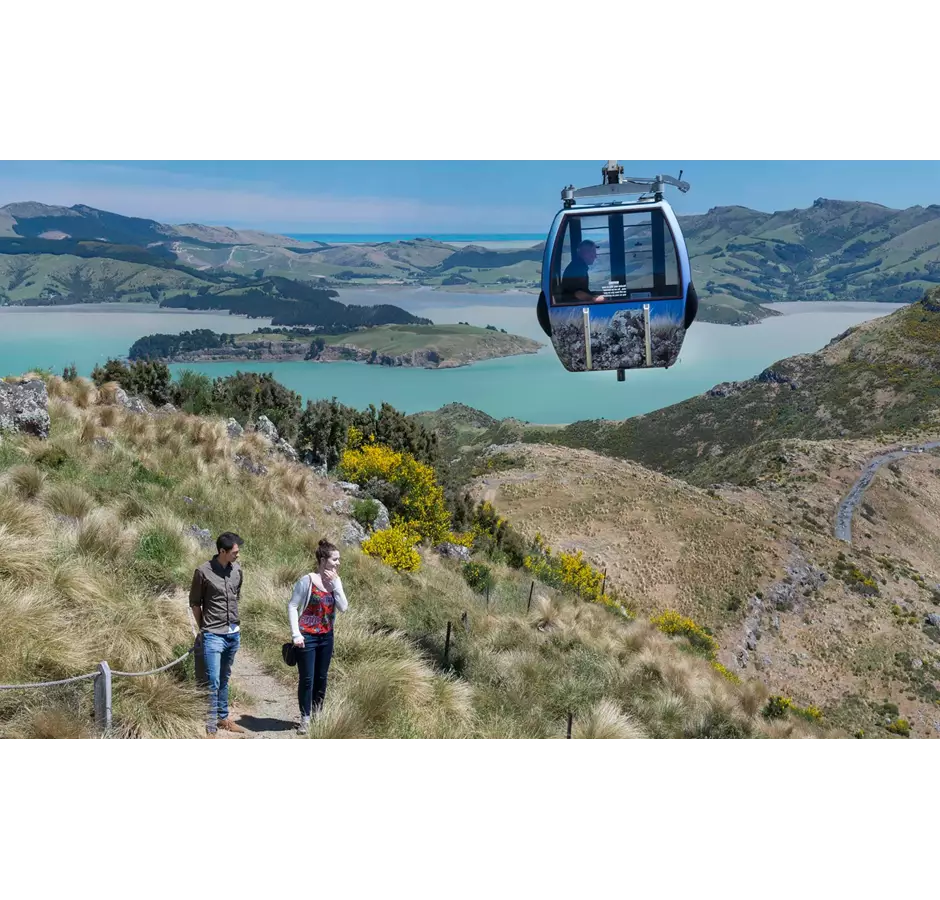 Christchurch Attractions Gondola over Harbour