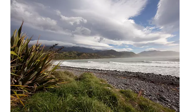 Kaikoura Coast Line