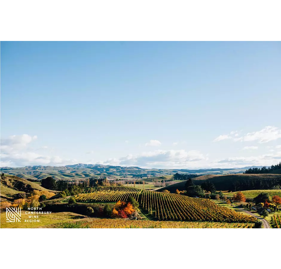 Landscape Shot Of North Canterbury Vineyards