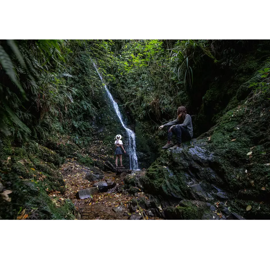 Acland Falls Peel Forest