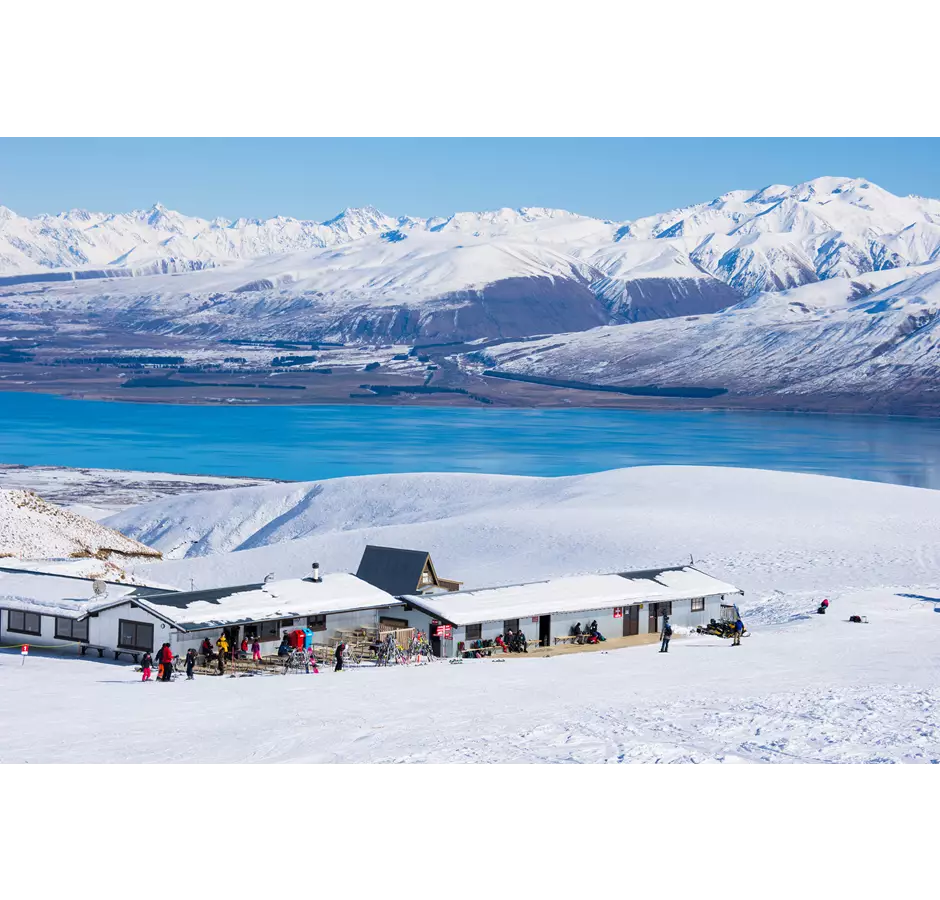 Bare Kiwi Roundhill