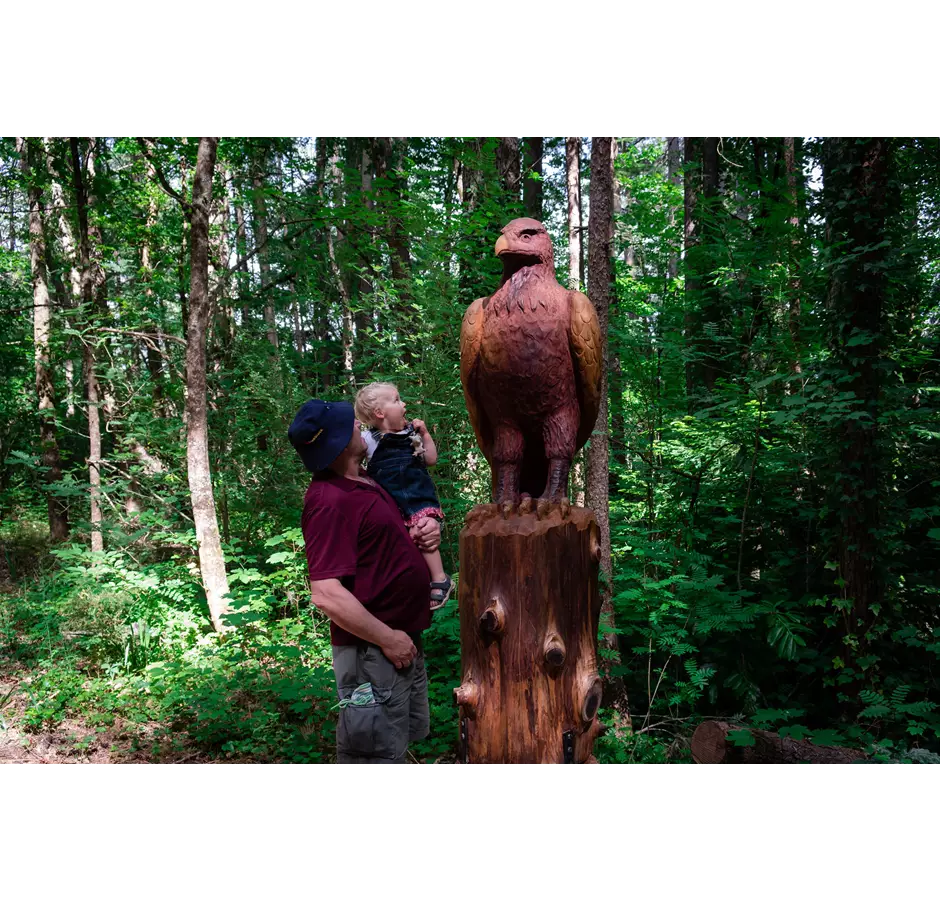 Forest Amble Walk