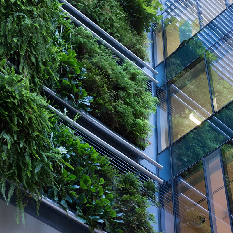 New Zealand Green Building Council