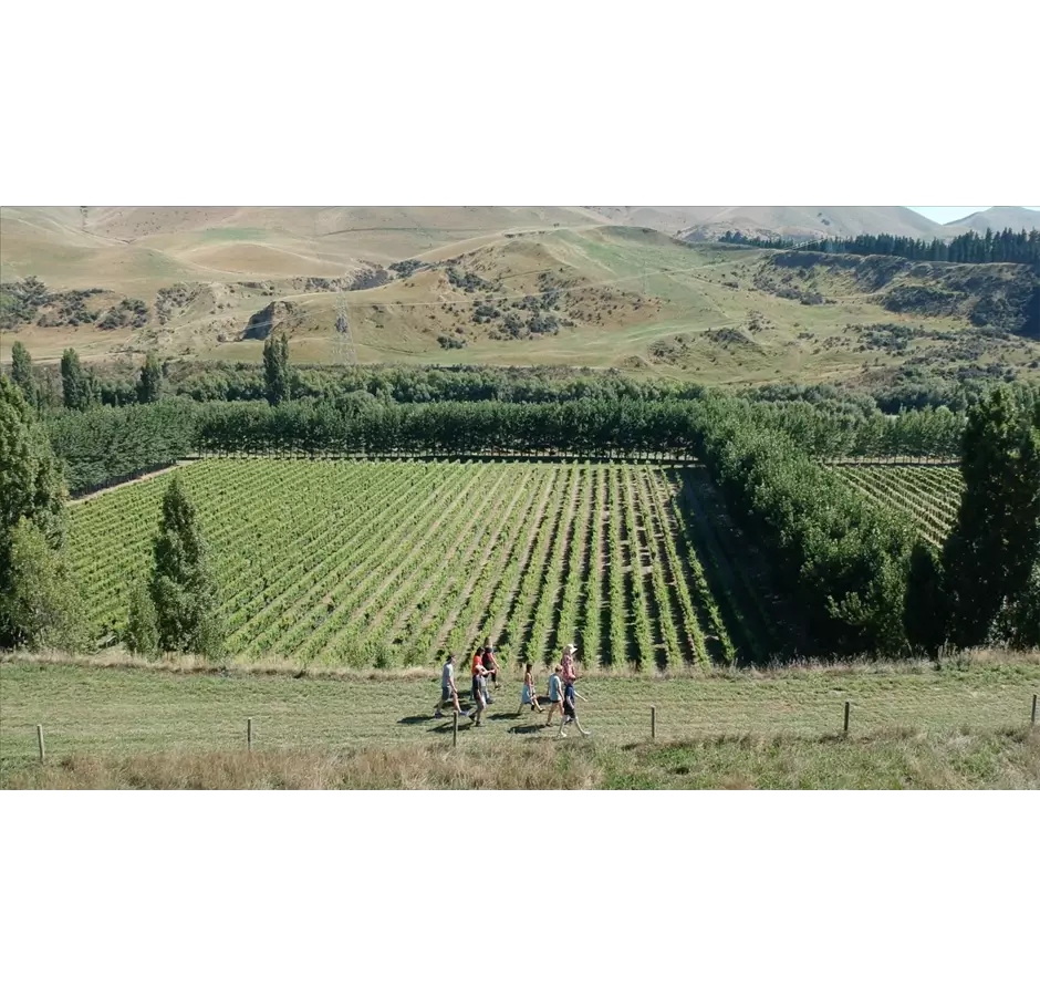 Waipara Boneline Walkway