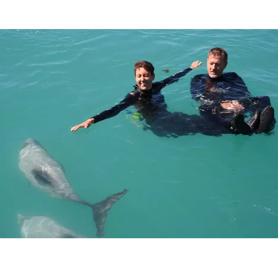 Swimming With Hector's Dolphin