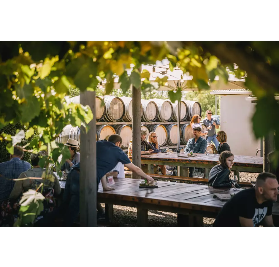 Greystone Winery Courtyard With Barrels