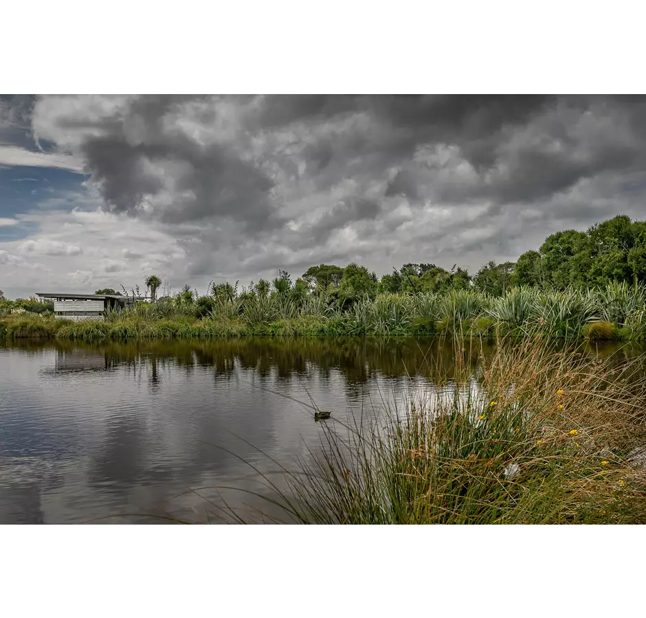 Travis Wetland