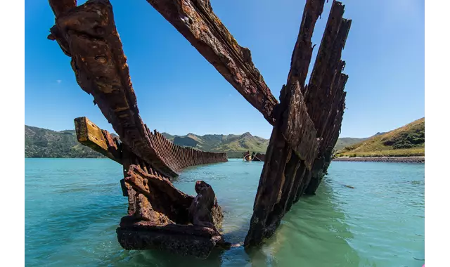 Banks Peninsula Quail Island