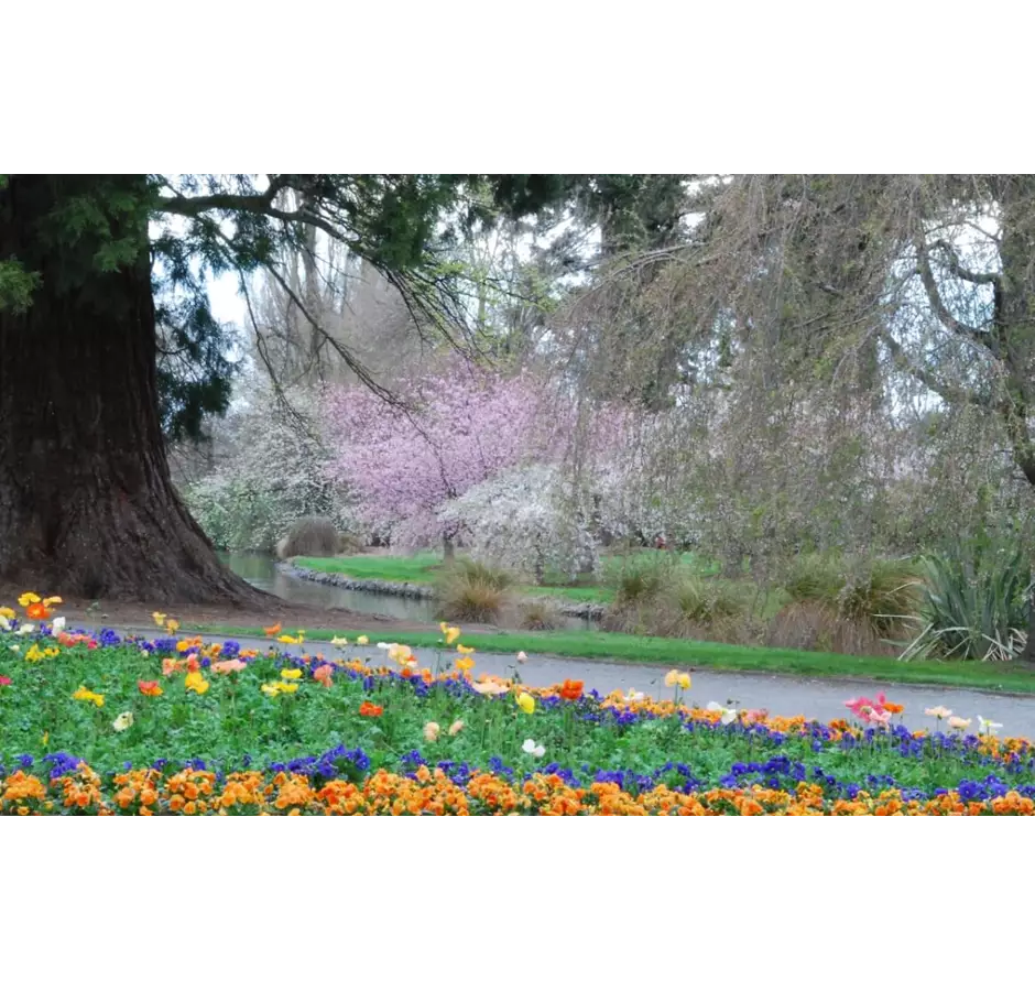 Ashburton Domain