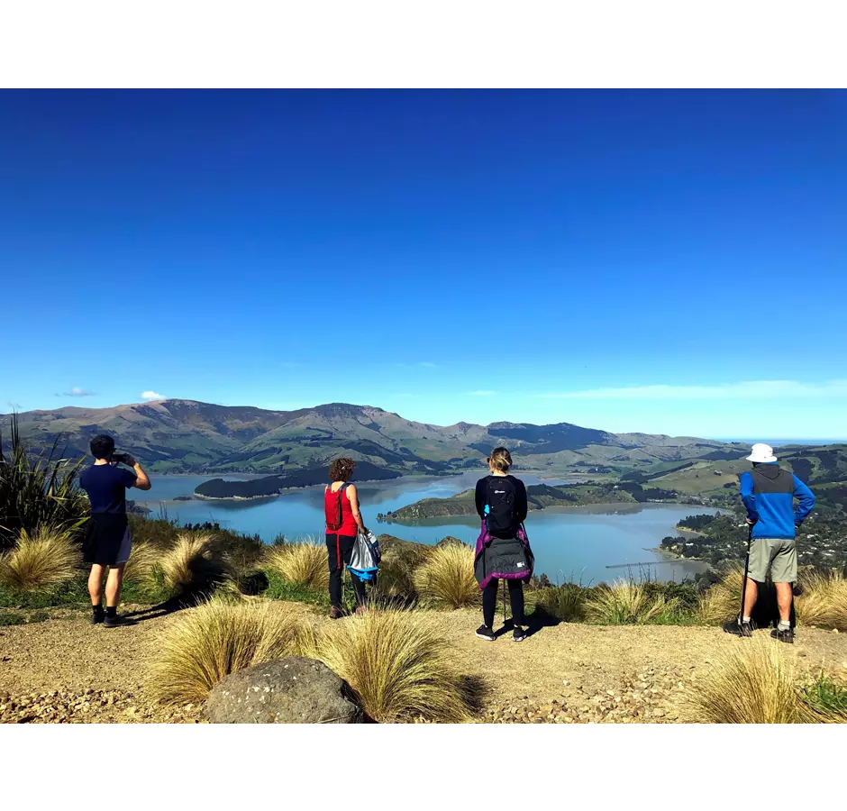 Crater Rim Walks Sign Of The Kiwi, four walkers stand on a gravel path at The Sign of the Kiwi.