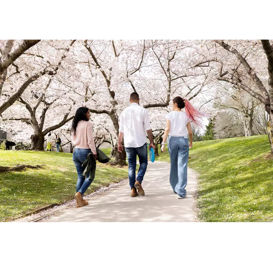 Group Of Students Walking In Gardens