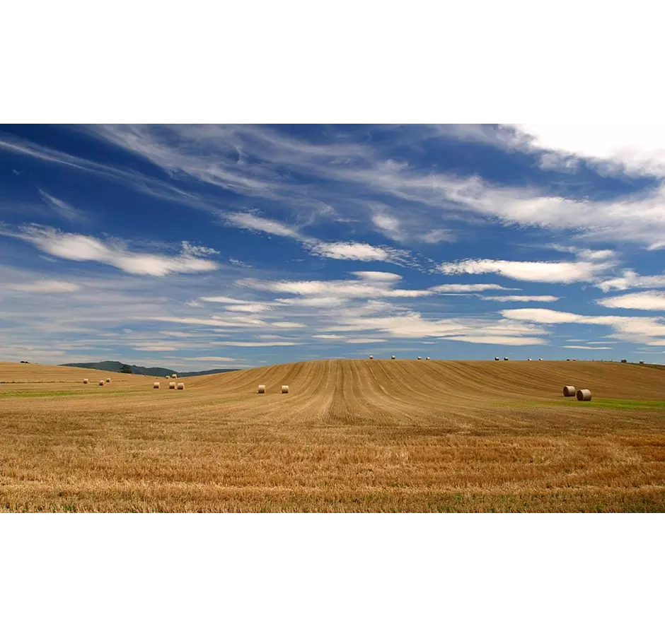 South Canterbury Waimate Farmland