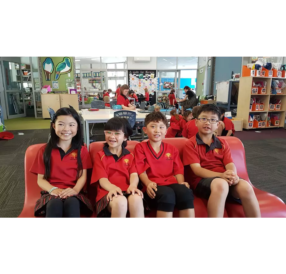 Study Student Stories Halswell Group Story