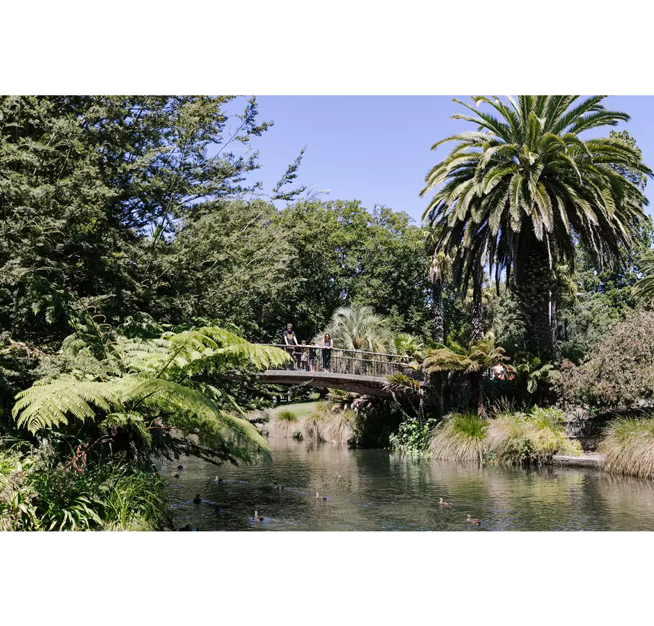 Christchurch Botanic Gardens Bridge