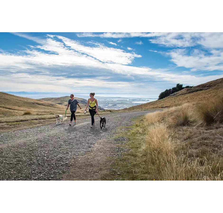 Port Hills Crater Rim